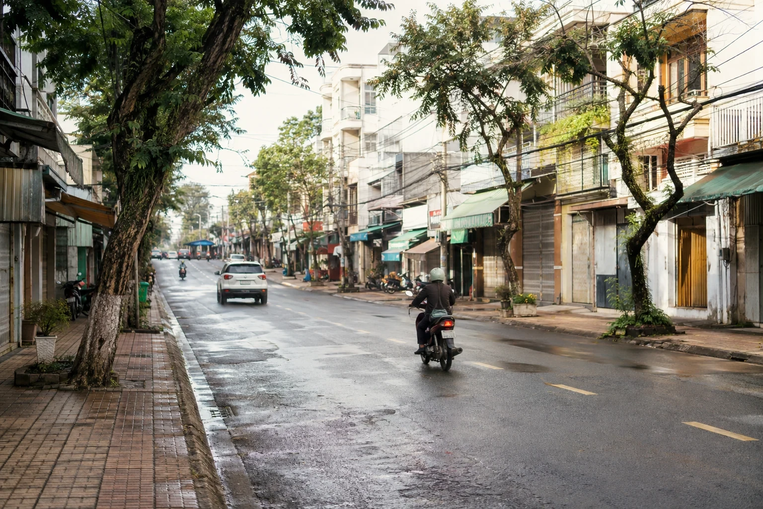 Con phố cao nguyên có hàng cây lớn, mái hiên và mặt đường còn ướt