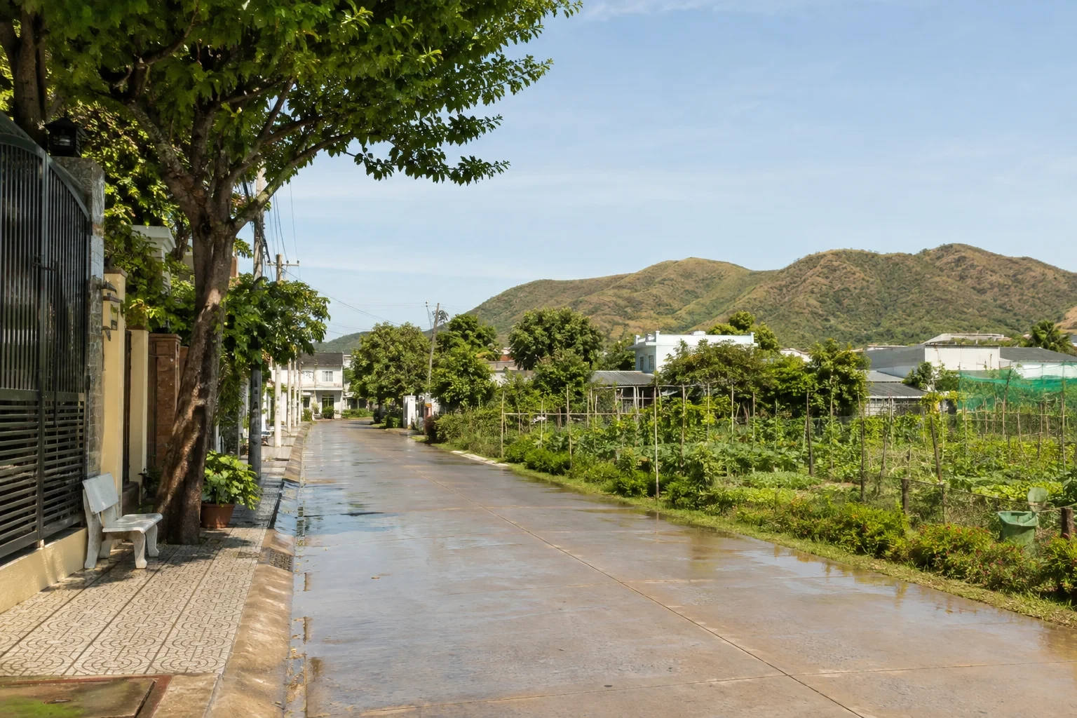 Đường khu dân cư nối những ngôi nhà thấp với vườn cây và đồi xa
