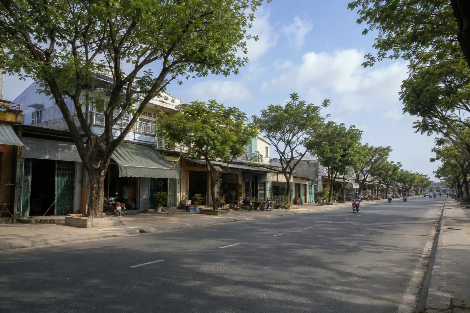 Dãy nhà phố và hàng cây trên một tuyến đường rộng ở miền duyên hải