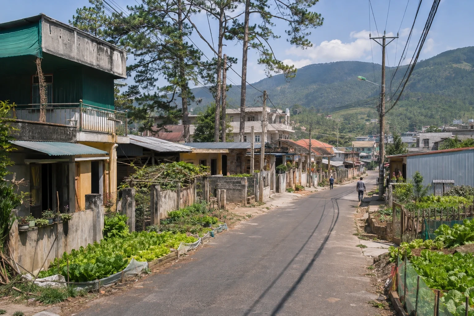 Phố nhỏ với nhà ở, vườn rau, dây điện và sườn núi xanh phía xa