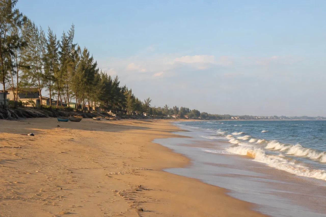 Bãi cát dài và hàng dương trong nắng chiều ven biển