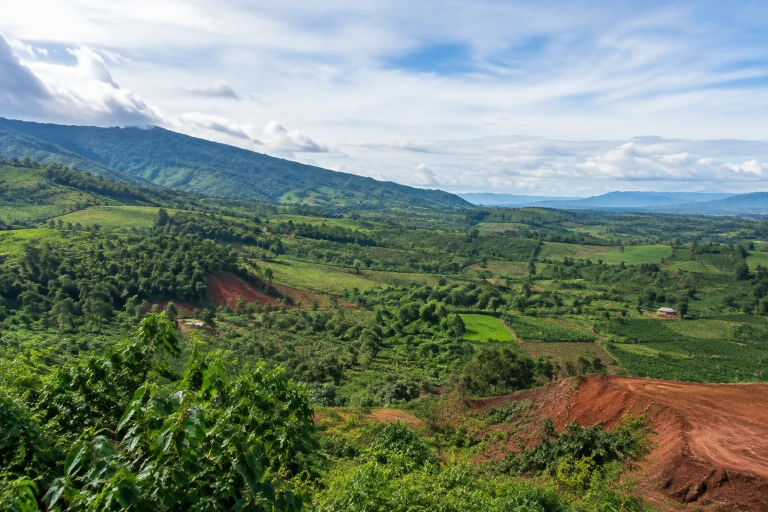 Những dải đồi xanh mở xuống thung lũng và vườn cây cao nguyên