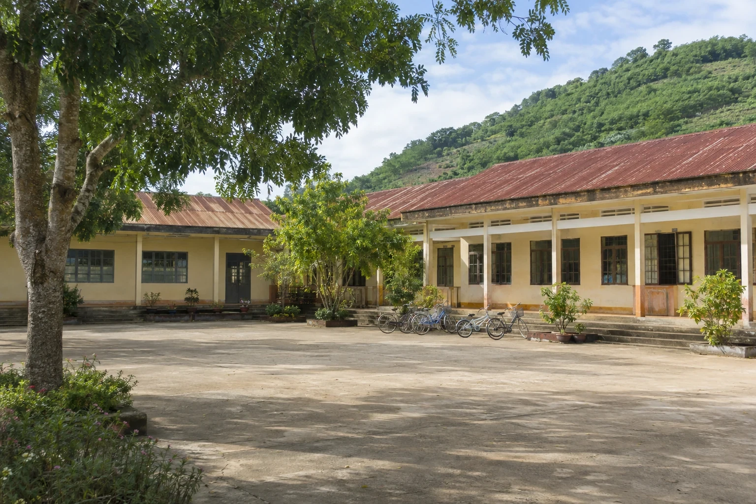 Sân trường vùng cao yên tĩnh dưới tán cây xanh